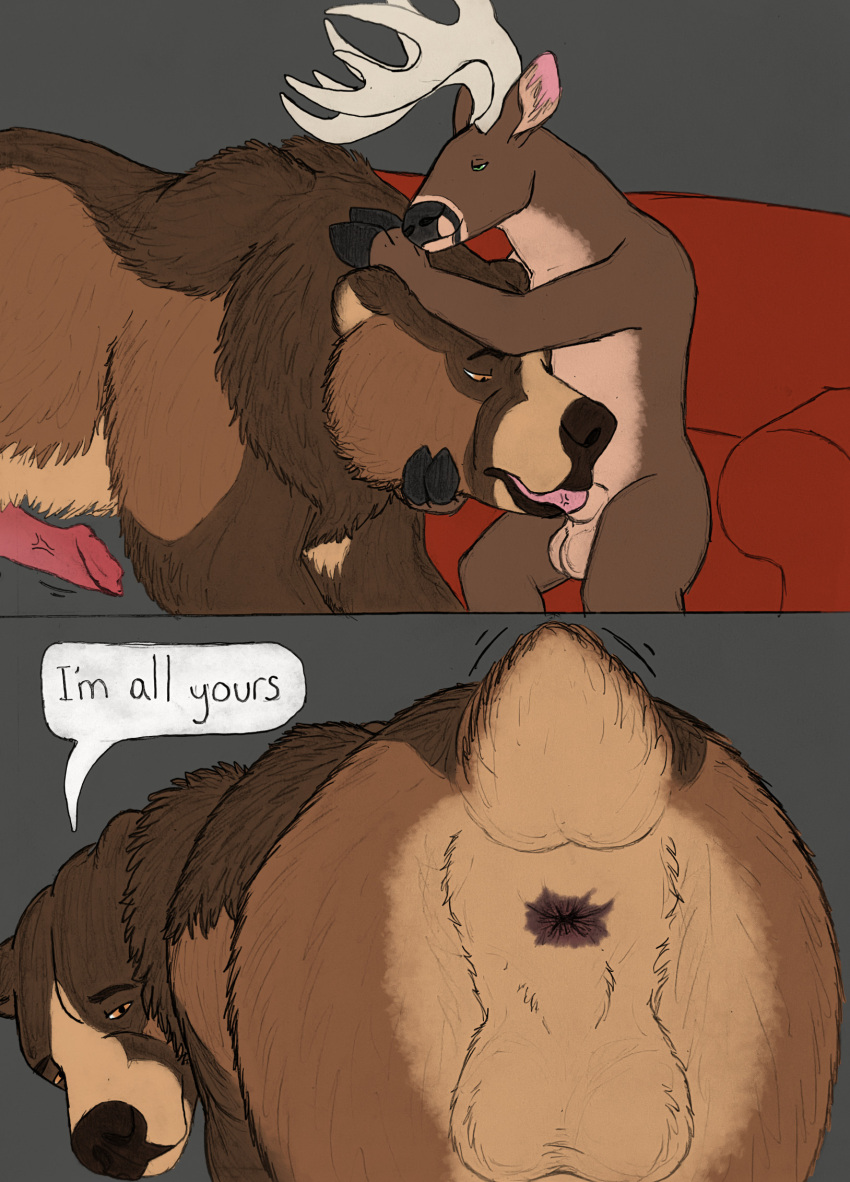 anatomically_correct anatomically_correct_genitalia anatomically_correct_penis animal_genitalia animal_penis anthro anthro_on_feral anthro_penetrating anthro_penetrating_feral anus balls bear bear_tail bestiality big_balls big_penis brown_bear cervine cervine_genitalia cervine_penis comic deer dialogue duo feral feral_penetrated furniture genitals grizzly_bear hair hgythshs hi_res kuruk_(character) larger_feral larger_male larger_penetrated male male/male male_penetrated male_penetrating male_penetrating_male mammal mane mane_hair oral oral_penetration penetration penis raised_tail rear_view roommate scut_tail sex sheath short_tail size_difference small_dom_big_sub smaller_anthro smaller_male sofa tail tail_motion tailwag ursine ursine_penis