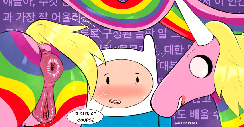 2022 adventure_time animal_genitalia animal_pussy anus blush bodily_fluids butt cartoon_network dialogue duo elliotpeste equid equine equine_anus equine_genitalia equine_pussy female feral finn_the_human genital_fluids genitals hi_res human korean_text lady_rainicorn male male/female mammal puffy_anus pussy pussy_juice rainicorn sweat teats text