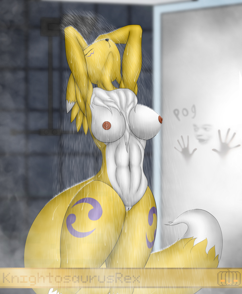 absurd_res anthro areola bandai_namco bathing breasts digimon digimon_(species) female genitals hi_res knightosaurusrex medium_breasts nipples nude peeking pussy renamon shower showering solo spying wet wet_body