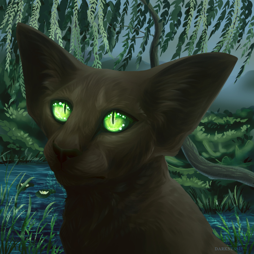 darknessisaisha domestic_cat felid feline felis female feral flower green_eyes lily_(flower) mammal oriental plant pond portrait solo tree water willow_tree willow_wisp