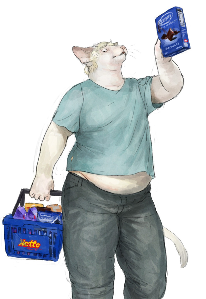 2022 anthro basket belly blonde_hair bottomwear box cettus clothed clothing container domestic_cat felid feline felis food fully_clothed fur groceries hair hairless hairless_cat hakon_brandvold hi_res holding_basket holding_box holding_container holding_object male mammal overweight overweight_anthro overweight_male pants peterbald shirt shopping simple_background solo standing topwear white_background white_body white_fur