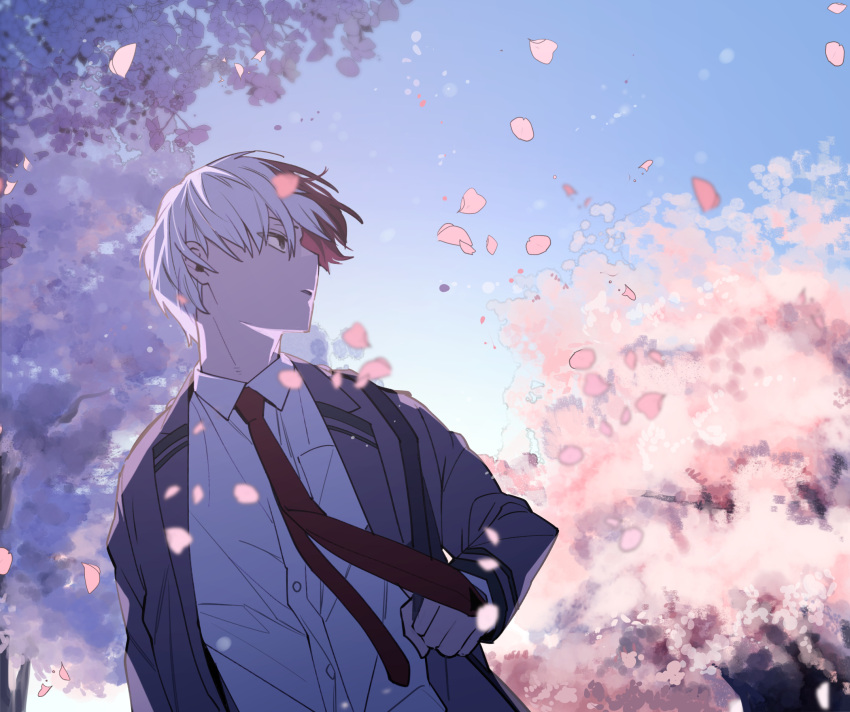 1boy anime_coloring blazer blue_sky blurry blurry_background blurry_foreground boku_no_hero_academia burn_scar buttons cel_shading cherry_blossoms cherry_tree collared_shirt double_horizontal_stripe dress_shirt dutch_angle eyes_visible_through_hair falling_petals floating_clothes floating_hair floating_neckwear flower grey_eyes grey_jacket hand_up highres holding_strap jacket lapels long_sleeves looking_to_the_side makuro male_focus multicolored_hair necktie notched_lapels open_clothes open_jacket outdoors parted_lips petals pink_flower red_hair red_necktie scar scar_on_face school_uniform shirt short_hair shoulder_strap sideways_mouth sky solo split-color_hair straight_hair todoroki_shouto tree_shade turning_head two-tone_hair u.a._school_uniform white_hair white_shirt wind wing_collar