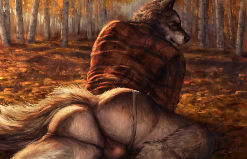 2023 anthro backsack balls biped blep bottomless bottomless_anthro bottomless_male butt canid canine canis clothed clothing detailed_background digital_media_(artwork) fur genitals grey_body grey_fur hi_res male mammal multicolored_body multicolored_fur outside s_anima solo tongue tongue_out were werecanid werecanine werewolf white_body white_fur wolf
