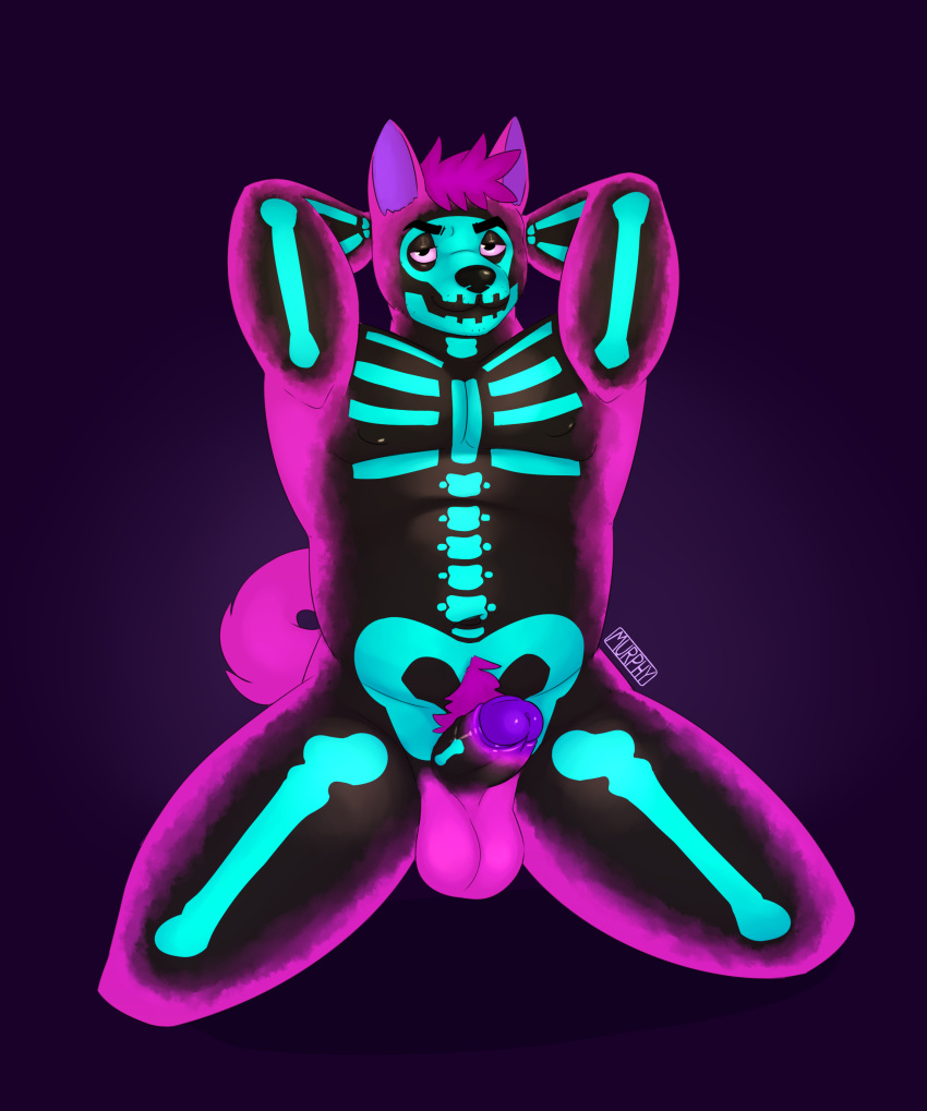 absurd_res animal_humanoid anthro balls bone canid canine canis curled_tail digital_media_(artwork) domestic_dog erection fur genitals grey_body hair halloween halloween_costume hi_res holidays humanoid looking_at_viewer male mammal naughty_cat neon nipples nude paint penis simple_background skeleton smile solo tail tiler_(naughty_cat)