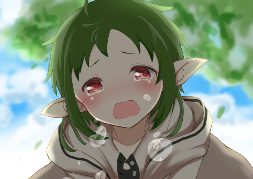 1girl cloud crying crying_with_eyes_open elf green_hair hood hooded_jacket jacket leaf mushoku_tensei outdoors pointy_ears red_eyes sky solo sylphiette_(mushoku_tensei) tears white_jacket yakata_mana