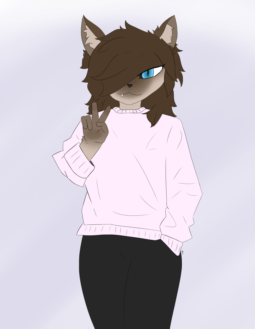 :3 absurd_res anthro blue_eyes bottomwear brown_body brown_hair clothed clothing domestic_cat felid feline felis fur hair hi_res male mammal multicolored_body pants savo siamese simple_background smile solo sweater topwear