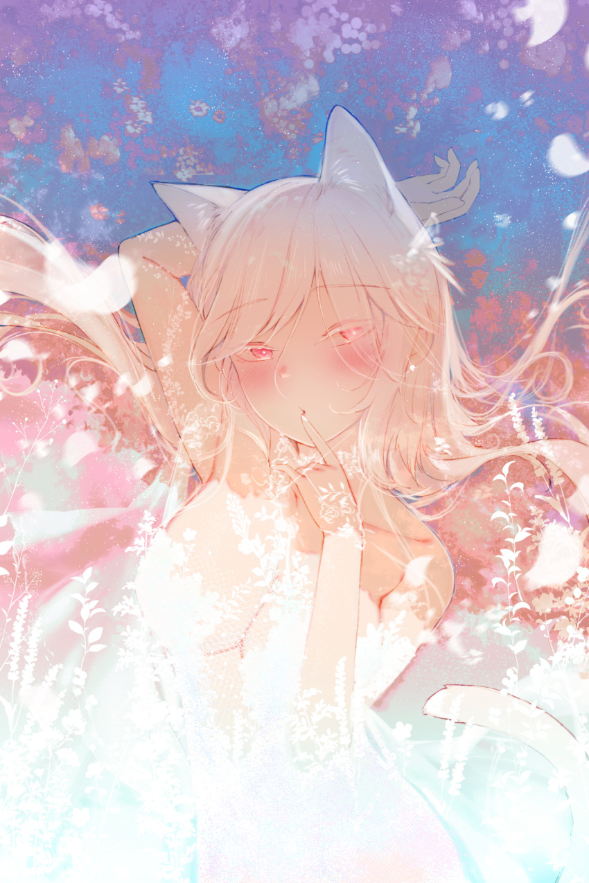 1girl animal_ear_fluff animal_ears arm_up blush breasts cat_ears cat_girl cat_tail cleavage collarbone dress finger_to_mouth futoshi_ame highres large_breasts long_hair looking_at_viewer original parted_lips petals pink_eyes solo tail upper_body white_dress white_hair