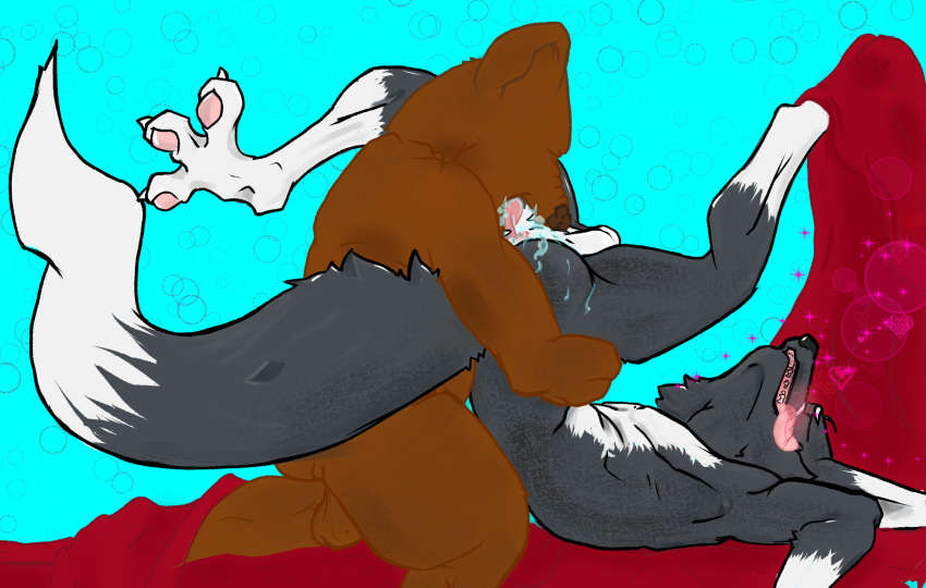 anal anthro bear blush bodily_fluids canid canine digital_media_(artwork) drawing duo fox hi_res male male/male mammal oral pervy_pet_fox rimming saliva sex tongue