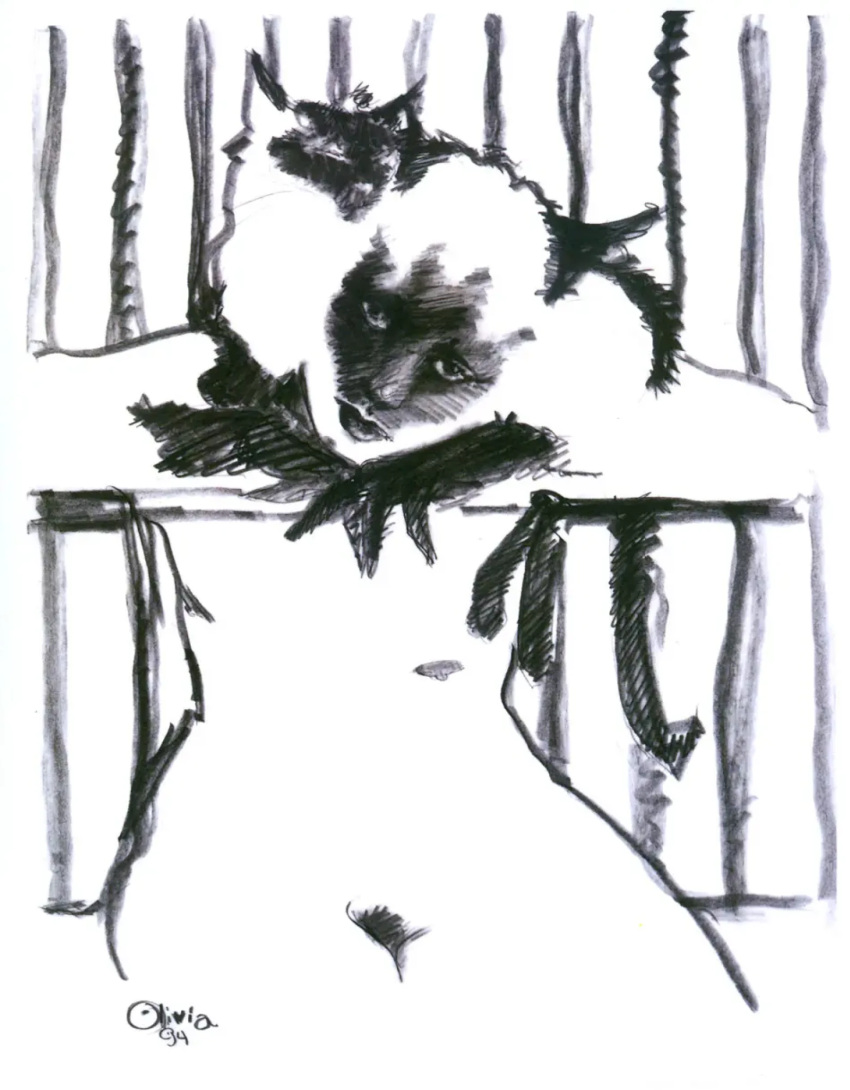 domestic_cat felid feline felis female feral fur genitals hi_res humanoid looking_at_viewer mammal nude olivia_de_berardinis painting_(artwork) pussy siamese smile solo tail traditional_media_(artwork)