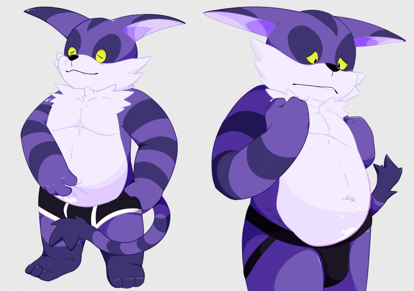 akashiro anthro belly big_the_cat briefs bulge clothing domestic_cat felid feline felis fur hi_res jockstrap male mammal navel overweight purple_body purple_fur sega shy solo sonic_the_hedgehog_(series) striped_body striped_fur stripes underwear yellow_eyes