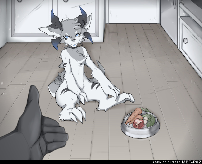 2022 3_fingers 3_toes anthro bell_pepper blue_eyes bowl carrot chest_tuft claws container detailed_background dragon drawers duo feet fingers floor food fruit fur grey_body grey_fur hi_res horn human kitchen looking_at_another looking_at_viewer male mammal mbf-p02 open_hand pepper_(fruit) plant potato sitting solo_focus toes tongue tongue_out tuft vegetable white_body white_fur wood wood_floor
