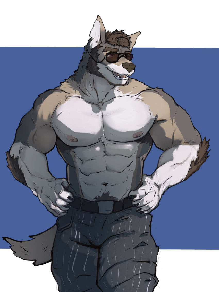 2022 3:4 anthro barazoku belt big_pecs body_hair bottomwear canid canine canis clothed clothing coyote echo_(series) echo_project eyewear facial_hair front_view fur hair hands_on_hips hi_res looking_aside male mammal multicolored_body multicolored_fur muscular muscular_male nipples notched_ear nullshark1 pants pecs portrait shirtless solo the_smoke_room three-quarter_portrait topless visual_novel william_adler