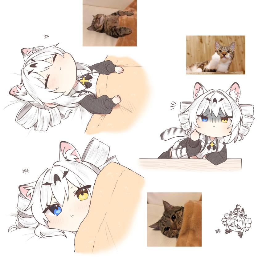 1girl animal_ear_fluff animal_ears black_sleeves black_thighhighs blue_eyes cat chibi commentary_request covering_with_blanket drill_hair heterochromia highres karenina:_ember_(deed_of_snow_leopard)_(punishing:_gray_raven) karenina:_ember_(punishing:_gray_raven) karenina_(punishing:_gray_raven) leopard_ears leopard_tail long_sleeves lying maid middle_finger multiple_persona myam_(123ab456c) photo_inset punishing:_gray_raven reference_photo shaded_face shirt tail thighhighs translation_request twin_drills white_background white_hair white_shirt yellow_eyes