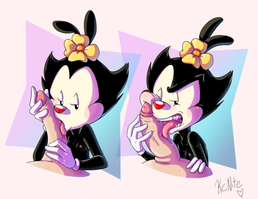 absurd_res animaniacs blush dot_warner duo female genitals hi_res human inkblot interspecies kcnite licking male mammal oral penile penis penis_lick sex sharp_teeth simple_background teeth tongue tongue_out warner_brothers