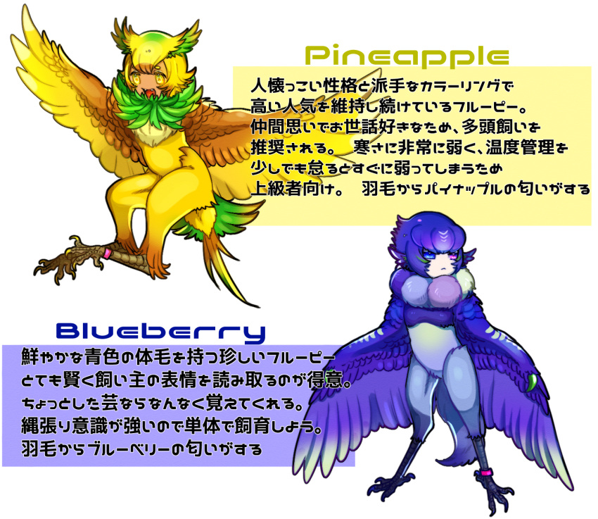 2girls animal_ears bachikin_(kingyo155) bird_ears bird_legs bird_tail blonde_hair blue_eyes blue_feathers blue_hair blue_wings blueberry_(bachikin) brown_feathers brown_wings claws commentary_request fangs feathered_wings feathers food-themed_creature green_feathers green_hair harpy heterochromia highres monster_girl multicolored_hair multiple_girls neck_fur open_mouth original pineapple_(bachikin) purple_eyes short_hair simple_background tail tail_feathers talons tan translation_request two-tone_hair two-tone_wings white_background winged_arms wings yellow_feathers yellow_wings