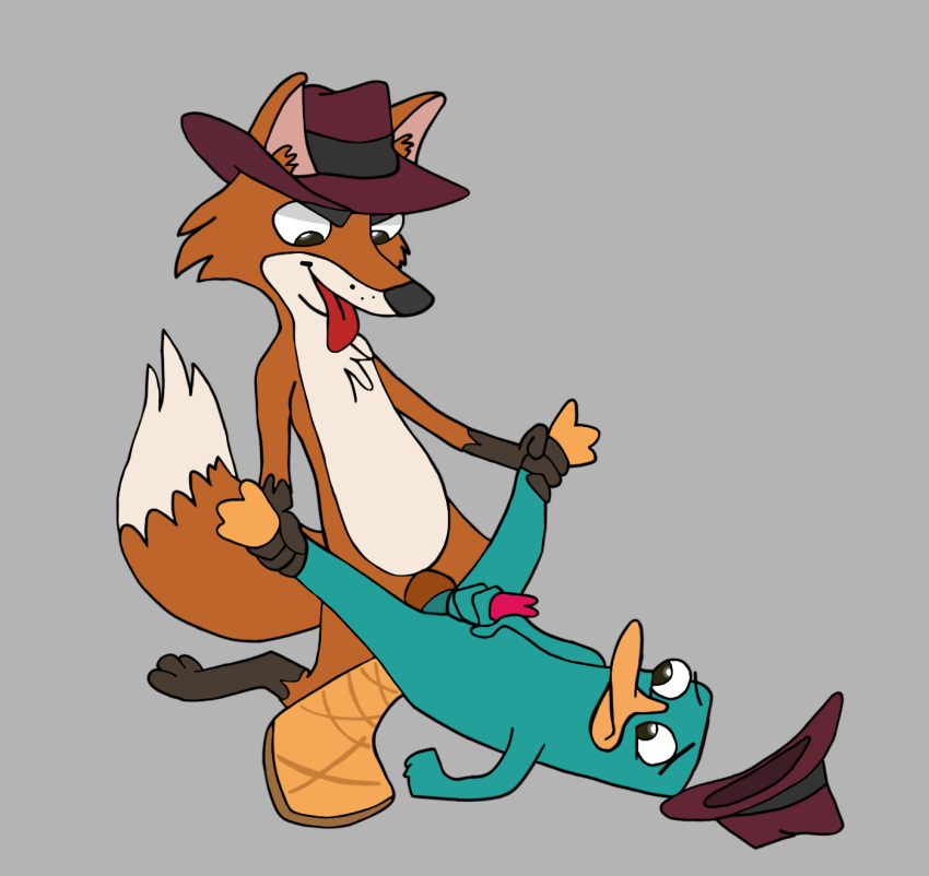 anthro canid canine disney duo feral fox hi_res male male/male mammal monotreme perry_the_platypus phineas_and_ferb platypus unknown_artist