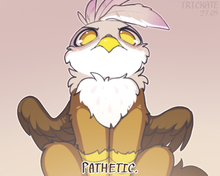 2023 angry avian beak brown_body brown_feathers brown_fur cheek_tuft chest_tuft digital_media_(artwork) facial_tuft feathered_wings feathers female fluffy friendship_is_magic fur gilda_(mlp) gryphon hasbro hi_res leg_tuft multicolored_body multicolored_fur my_little_pony mythological_avian mythology sitting solo tail tail_tuft talons trickate tuft white_body white_feathers white_fur wings yellow_beak yellow_eyes