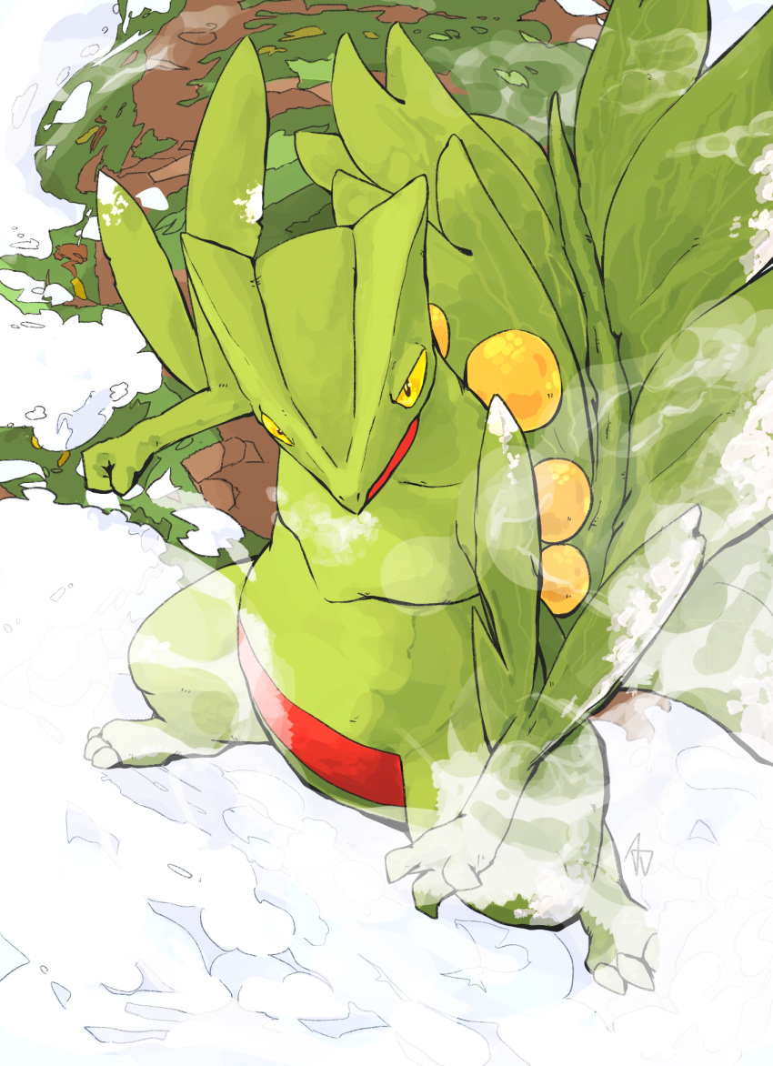 aomon_(yuuji7604) black_eyes bright_pupils claws closed_mouth colored_sclera commentary_request highres no_humans pokemon pokemon_(creature) sceptile solo standing yellow_sclera