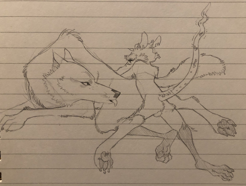 anthro anthro_on_feral balls bestiality blep canid canine canis duo female feral genitals hi_res male male/female mammal murid murine nude penetration rat rodent sex size_difference superratbike64 tongue tongue_out traditional_media_(artwork) wolf