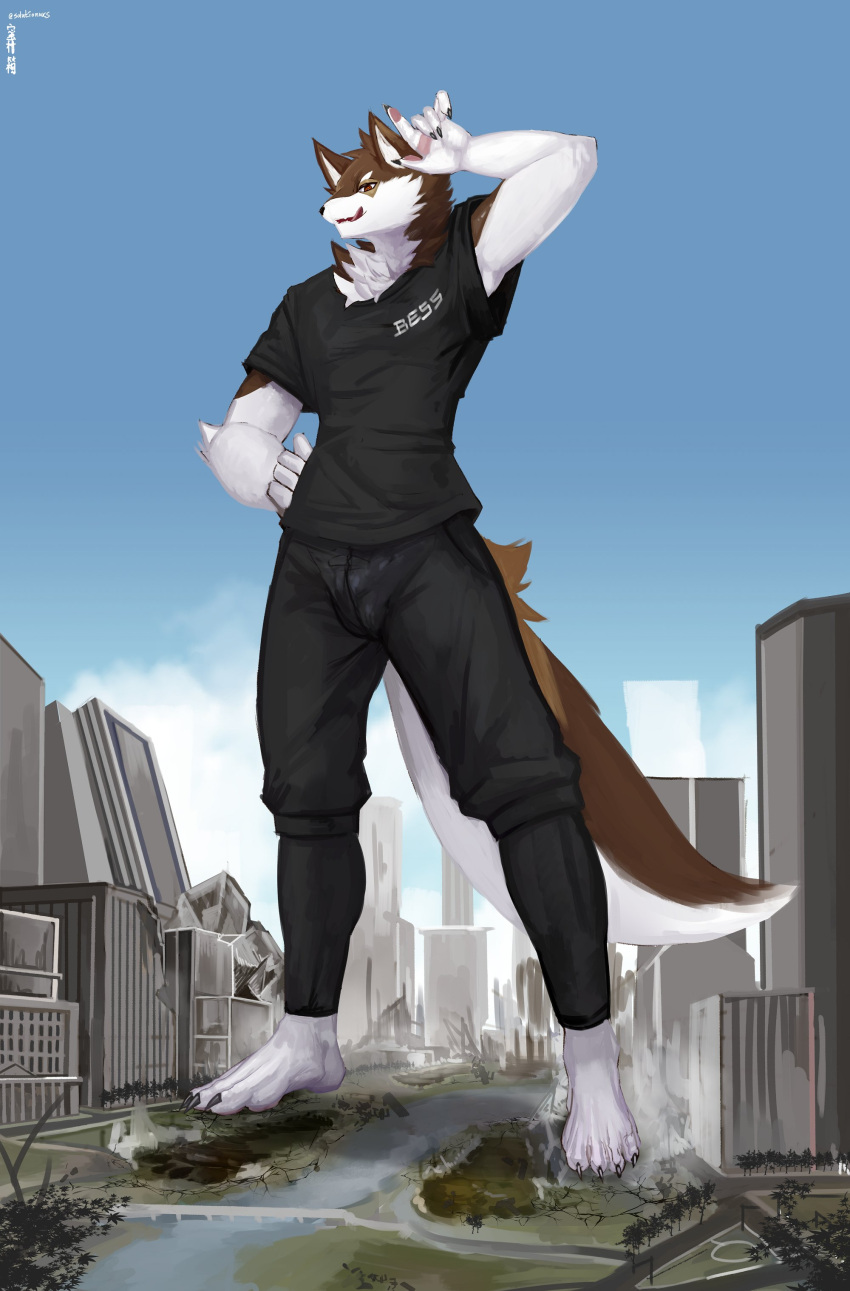 2023 5_fingers absurd_res anthro black_bottomwear black_clothing black_pants black_shirt black_topwear bottomwear building canid canine canis city_destruction clothing destruction digital_media_(artwork) fingers hi_res landscape_dwarfing macro mammal open_mouth pants plantigrade river shirt skyscraper solutionwcs tongue topwear twitter_handle wolf