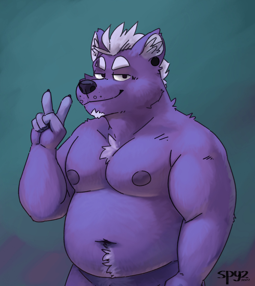 2022 anthro belly belly_tuft black_nose canid canine chest_tuft chin_tuft deep_navel ear_piercing facial_tuft gesture hair hi_res inner_ear_fluff kodi_(spyzslair) male mammal moobs musclegut navel nipples overweight piercing smile smirk solo solo_focus spiky_hair spyzslair tuft v_sign watermark white_hair
