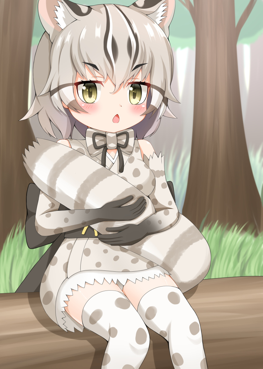 1girl absurdres animal_ear_fluff animal_ears bare_shoulders black_hair blush brown_eyes chestnut_mouth day elbow_gloves gloves grey_hair highres japanese_clothes kemono_friends kimono looking_at_viewer multicolored_hair open_mouth outdoors panties polka_dot polka_dot_gloves polka_dot_kimono polka_dot_legwear shin01571 sitting sleeveless sleeveless_kimono solo streaked_hair striped_tail tail tail_hug thick_eyebrows thighhighs tree tsushima_leopard_cat_(kemono_friends) underwear v-shaped_eyebrows white_hair white_panties white_thighhighs