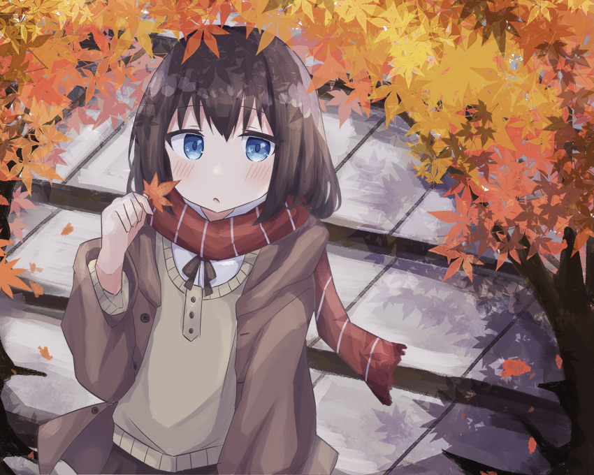 1girl :c autumn autumn_leaves black_ribbon black_skirt blue_eyes blush brown_hair brown_jacket collared_jacket colon_br grey_sweater hair_between_eyes hand_up highres holding holding_leaf jacket leaf long_sleeves looking_at_viewer maple_leaf medium_hair neck_ribbon open_clothes open_jacket original raised_eyebrows red_scarf ribbon scarf sidelocks sitting skirt solo stairs sweater upper_body