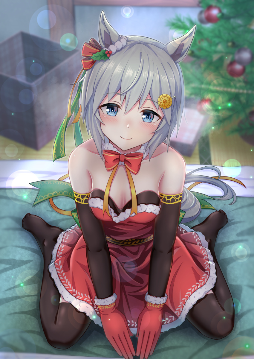 1girl animal_ears bare_shoulders black_pantyhose blue_eyes blurry blurry_background blush bow breasts christmas cleavage closed_mouth commentary_request detached_collar detached_sleeves dress fur-trimmed_dress fur_trim futon gloves grey_hair hair_ornament hairclip highres horse_ears horse_girl horse_tail looking_at_viewer medium_breasts pantyhose red_bow red_dress red_gloves seiun_sky_(umamusume) short_hair sitting smile solo tail umamusume wariza zenrakishi