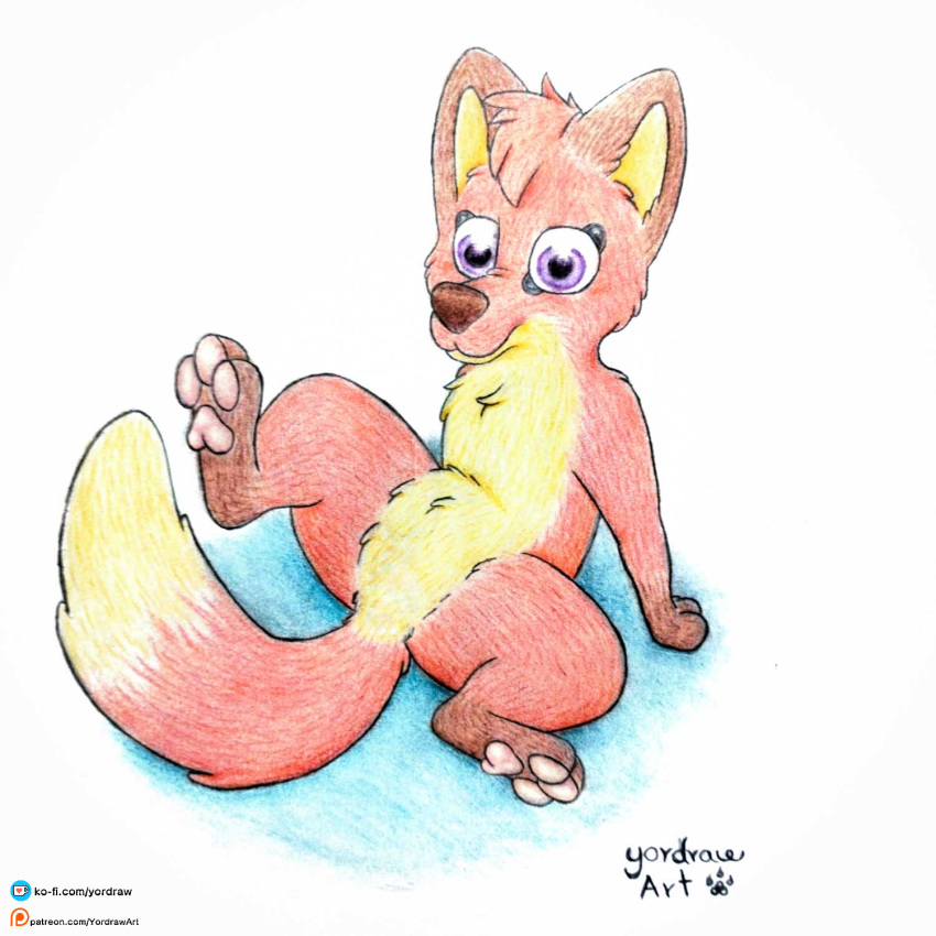 canid canine cute_expression cute_eyes female feral fox hi_res jungledyret_hugo mammal patreon patreon_link patreon_logo patreon_username pawpads paws red_fox rita_(jungledyret) smile solo spread_legs spreading tail text url yordraw