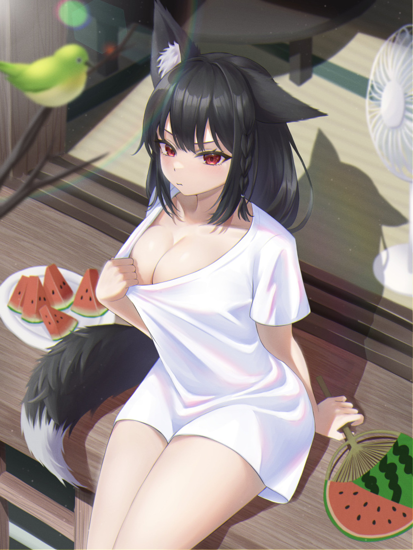 1girl absurdres animal_ear_fluff animal_ears bird black_hair blush braid breasts cleavage clothes_pull commentary ear_down electric_fan food food_print fox_ears fox_girl fox_tail french_braid fruit hair_between_eyes hand_fan highres holding holding_fan hololive kurokami_fubuki large_breasts lens_flare long_hair looking_at_viewer nekorone0222 no_bra oversized_clothes oversized_shirt paper_fan porch pout red_eyes shadow shirt shirt_pull short_sleeves sidelocks single_braid sitting solo t-shirt tail virtual_youtuber watermelon watermelon_print white_shirt