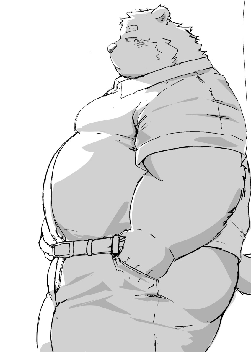 2023 anthro band-aid bandage bear belly big_belly blush bottomwear clothing ear_piercing ear_ring hi_res kemono male mammal metaporin overweight overweight_male pants piercing ring_piercing shirt simple_background solo topwear