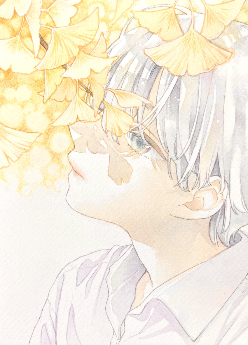 1boy absurdres bishounen branch closed_mouth collared_shirt commentary ginkgo ginkgo_leaf grey_eyes highres leaf long_bangs male_focus original painting_(medium) portrait shirt short_hair simple_background solo traditional_media watercolor_(medium) white_background white_hair white_shirt yuufuushi