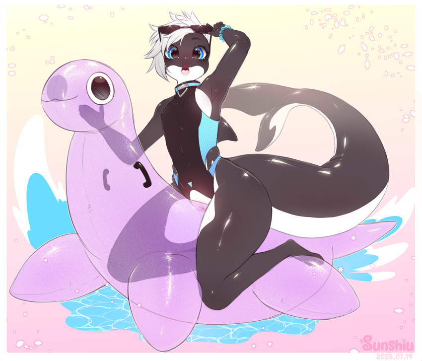 andromorph anthro black_body cetacean clothing dolphin girly hi_res intersex male mammal marine oceanic_dolphin orca patreon pool_toy reward sardine_(taghyrt) solo sunshiu swimming_pool swimwear taghyrt toothed_whale white_body