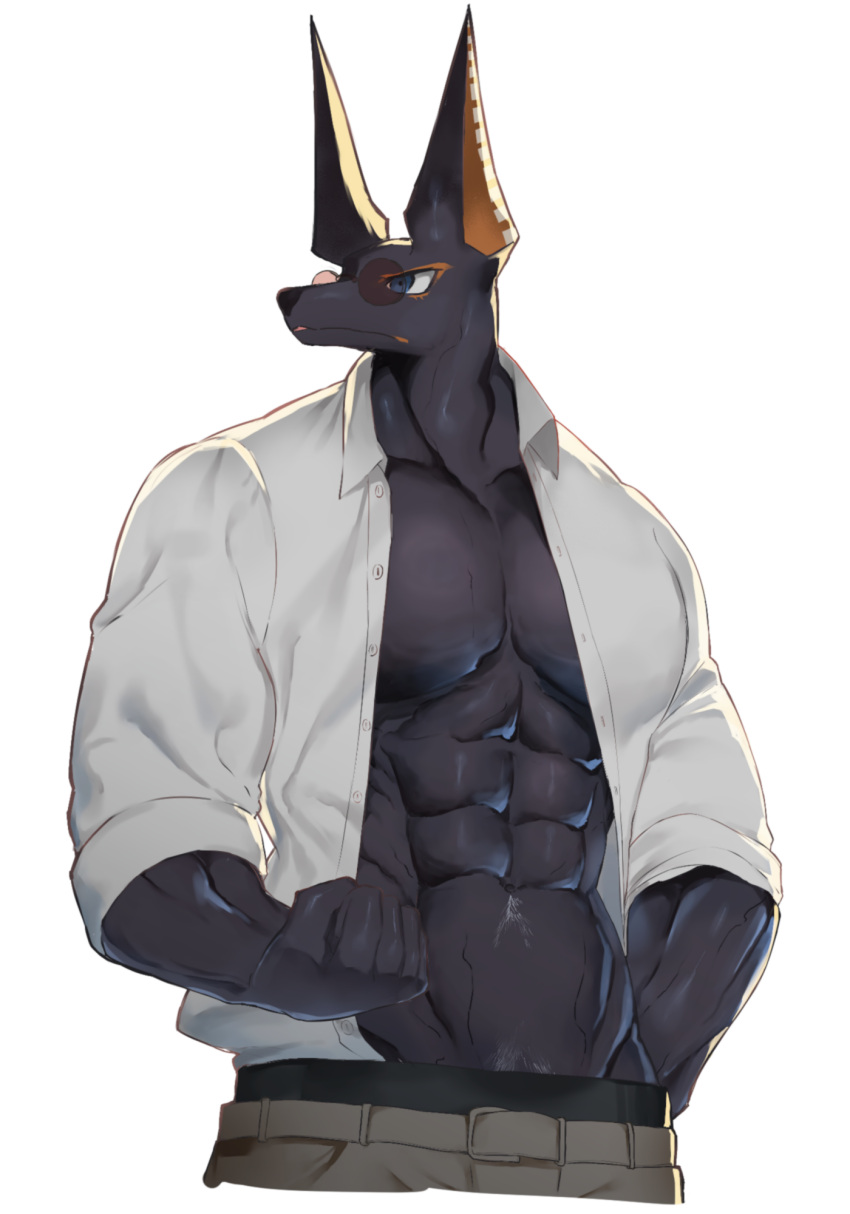 1boy abs animal_ears animal_head anubis_(mythology) bara black_skin colored_skin contemporary cropped_legs dougaku_(passionpit777) egyptian egyptian_mythology furry furry_male highres jackal_boy jackal_ears jackal_tail large_pectorals looking_to_the_side male_focus male_pubic_hair muscular muscular_male navel open_clothes open_shirt pectoral_cleavage pectorals pubic_hair pubic_hair_peek sleeves_rolled_up solo sparse_navel_hair stomach turning_head
