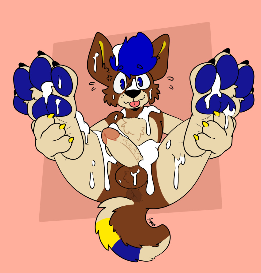 absurd_res anthro anus balls blep blue_hair blue_markings blue_pawpads bodily_fluids brown_body brown_fur butt canid canine canis cheek_tuft chest_tuft cross-popping_vein cum cum_covered cum_drip cum_on_chest cum_on_face cum_on_feet domestic_dog dripping eager erection facial_tuft feet_up flustered fur genital_fluids genitals hair hi_res humanoid_genitalia humanoid_penis inviting looking_at_viewer male mammal markings messy nervous nervous_expression nervous_smile nervous_sweat pauwer_(pauwer) pawpads paws penis pink_background presenting presenting_anus presenting_balls presenting_hindquarters presenting_penis simple_background smile solo spread_legs spreading tan_body tan_fur tongue tongue_out tuft vein veiny_penis wide_eyed xing1 yellow_markings