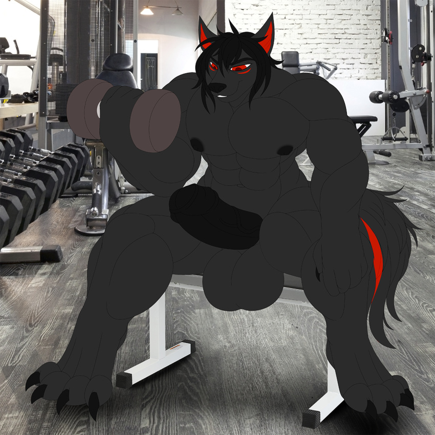 abs alexzandr_sokolov anthro balls biceps big_balls big_penis black_body black_fur black_hair black_penis canid canine canis claws digitigrade exercise foreskin fur genitals hair hi_res male mammal muscular nude pecs penis red_eyes smile smirk solo weightlifting wolf workout zi0808