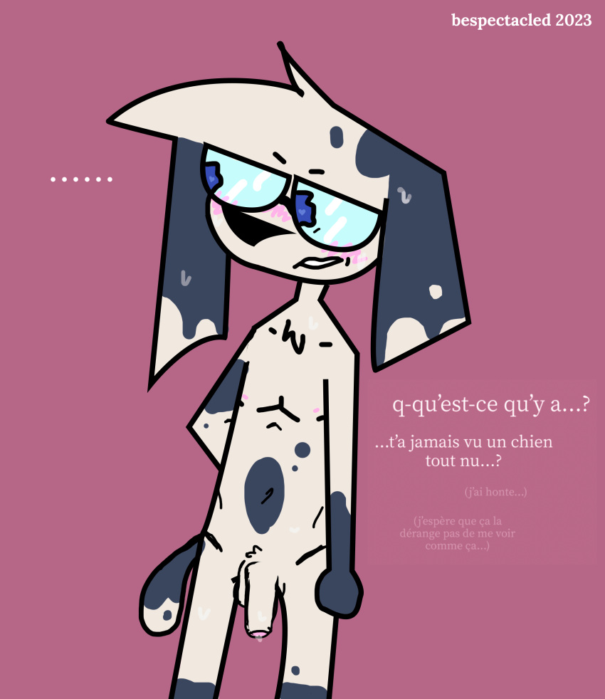 absurd_res anthro bespectacled_(artist) blush bodily_fluids canid canine canis dalmatian domestic_dog embarassed_nude_male embarrassed eyewear eyewear_only flat_colors french_text genital_fluids genitals glasses glasses_eyes glasses_only hand_behind_back hi_res humanoid_genitalia humanoid_penis long_ears mammal nipples nude penis precum presenting skinny sweat text toony toony_expression
