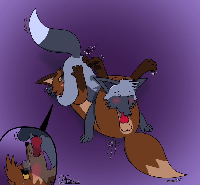 3_toes 4_fingers 69_position absurd_res animal_genitalia animal_penis anthro balls blush bodily_fluids brown_body brown_fur brown_markings brown_pawpads caffeinatedhornfox canid canine canine_genitalia canine_penis cheek_tuft crossed_legs digital_media_(artwork) duo erection eyes_closed eyewear facial_tuft feet fellatio fingers fox fur genitals glasses grey_body grey_fur grey_markings grey_pawpads hair head_between_legs head_tuft hi_res hip_grab knot luxi_(caffeinatedhornfox) lying male male/male male_penetrating mammal markings nude on_back on_top on_top_of open_mouth oral oral_penetration pawpads paws penetration penile penis red_fox red_penis saliva sex silver_fox simple_background smile sweat sweatdrop tail tail_markings thrusting toes tongue tongue_out tuft white_markings winston_whitetail