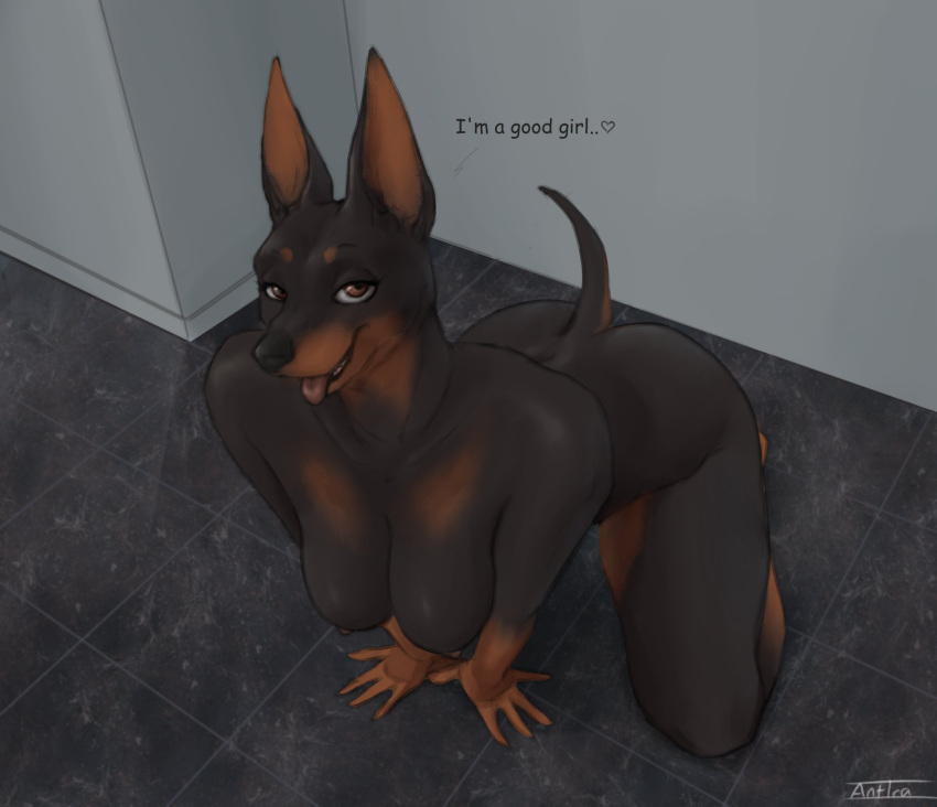 &lt;3 anthro antira bedroom_eyes black_body black_fur breasts brown_body brown_fur canid canine canis dialogue dobermann domestic_dog female floor fur good_girl half-closed_eyes hi_res looking_at_viewer mammal narrowed_eyes nipples nude on_four on_ground pinscher seductive smile solo tile tile_floor tongue tongue_out