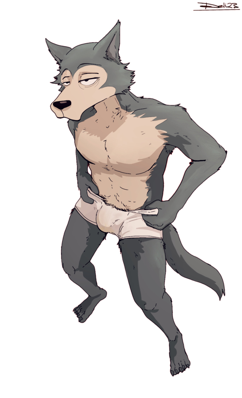 absurd_res anthro beastars bulge canid canine canis clothing delirost hi_res legoshi_(beastars) male mammal pubes putting_on_clothes slim solo tired underwear wolf