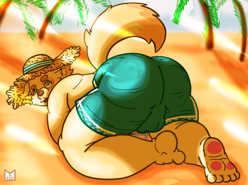 anthro beach big_butt butt canid canine canis chubby_male clothing cu_sith_(tas) digital_media_(artwork) domestic_dog hat headgear headwear hi_res kemono lifewonders male mammal outside paws red_panda_mirr seaside solo swimwear tail tokyo_afterschool_summoners