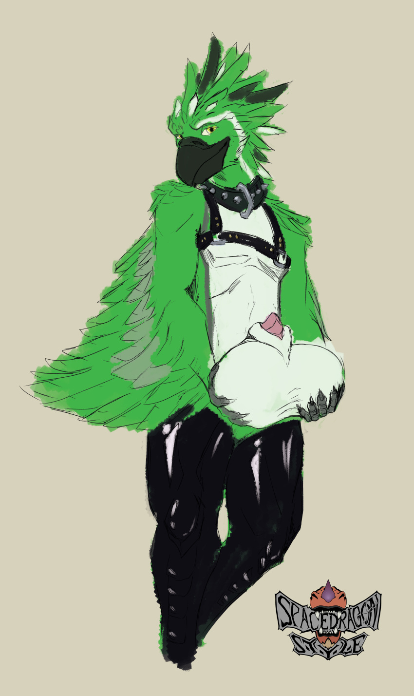 absurd_res accipitrid accipitriform ake anthro avian balls big_balls bird collar genitals harness hi_res hyper latex_stockings leather leather_harness looking_at_viewer male pinup pose solo spacedragonstyle_(artist)