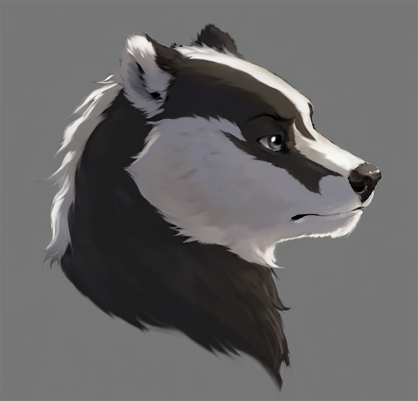 badger furrykxc hi_res male mammal mustelid musteline