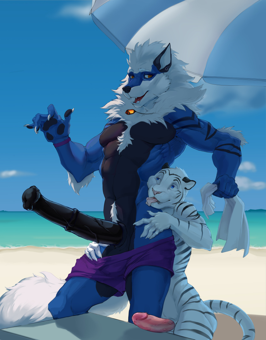 abs absurd_res al_(aolun) animal_genitalia animal_penis anthro arcanine athletic athletic_anthro athletic_male balls beach biceps big_penis black_body black_fur black_pawpads black_penis blue_body blue_eyes blue_fur bottomwear canid canine canis cheek_tuft clothed clothing detailed_background digital_media_(artwork) duo equine_genitalia equine_penis erection facial_tuft fangs felid feline felis fingers fur generation_1_pokemon genitals hair hi_res humanoid_genitalia humanoid_penis hyper licking male male/male mammal muscular muscular_anthro muscular_male neck_tuft nintendo nude orange_eyes outside pantherine pawpads penis pokemon pokemon_(species) sand seaside simple_background sky smile striped_body stripes swimming_trunks swimwear teeth tgt1512 tiger tongue tongue_out topless tuft water white_body white_fur white_hair