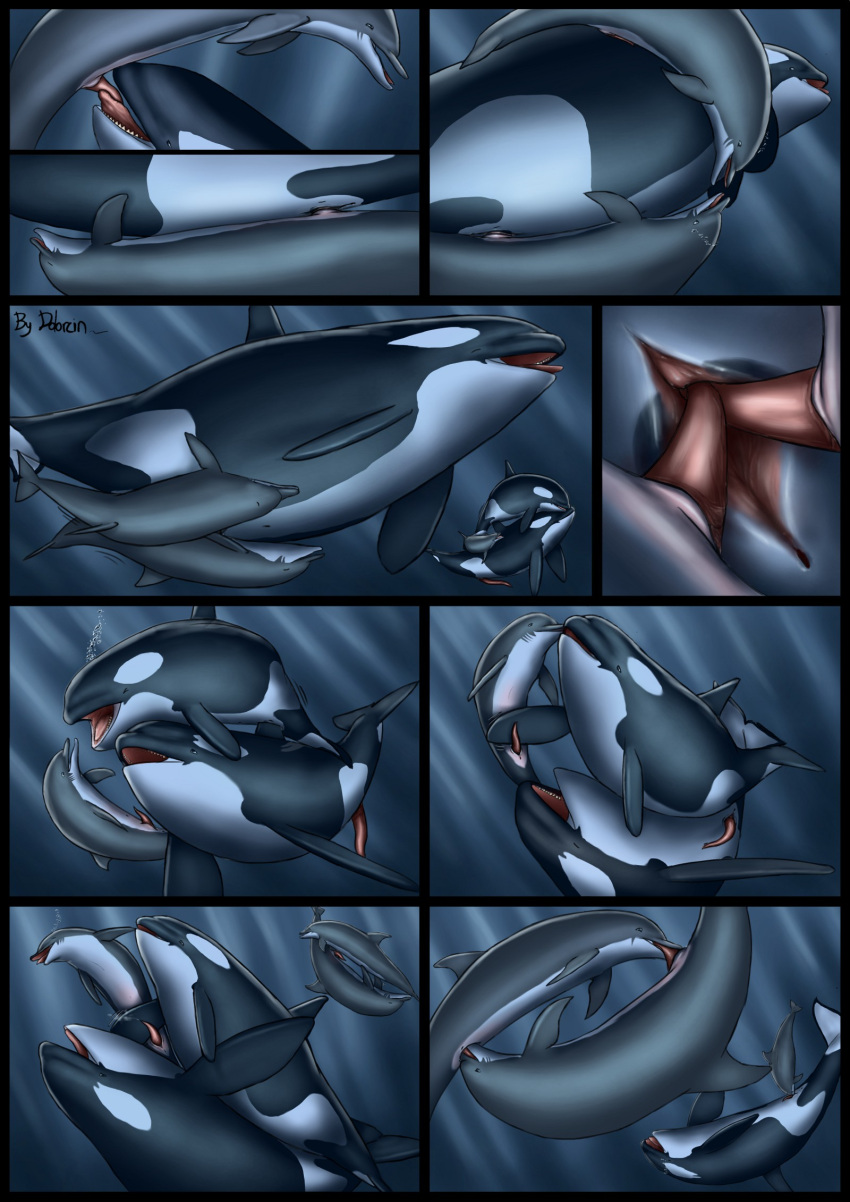 2013 artist_name cetacean comic dolorcin dolphin fin_in_pussy hi_res mammal marine oceanic_dolphin orca toothed_whale