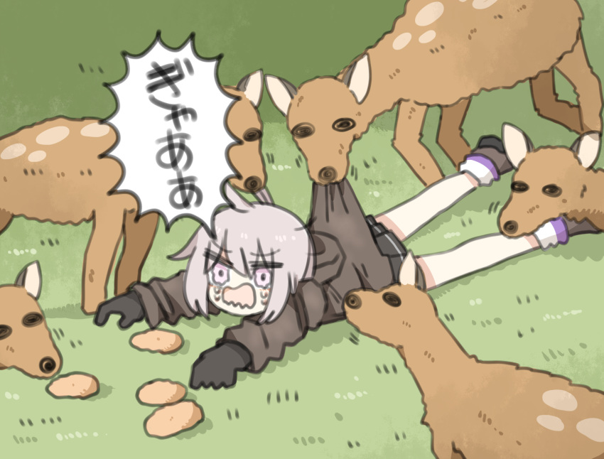 1girl ahoge animal biting_another's_clothes black_footwear black_gloves black_skirt brown_jacket bush commentary_request crying crying_with_eyes_open d: eating_hair food girls'_frontline gloves grass grey_hair hair_between_eyes highres jacket long_hair long_sleeves lying m200_(girls'_frontline) on_stomach open_mouth pleated_skirt ponytail purple_eyes senbei sidelocks skirt socks solo supaccha tears translated wavy_eyes wavy_mouth