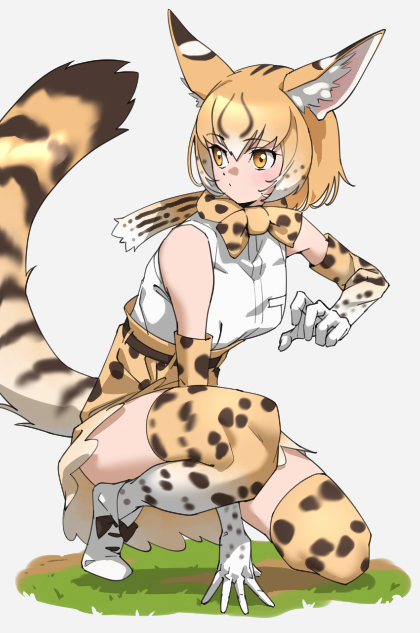 1girl absurdres animal_ear_fluff animal_ears bare_shoulders between_legs blonde_hair blush boots bow bowtie cat_ears cat_girl cat_tail commentary dot_mouth elbow_gloves extra_serval_(kemono_friends) full_body gloves grass hair_between_eyes hand_between_legs high-waist_skirt highres kemono_friends looking_away looking_to_the_side miniskirt multicolored_hair on_one_knee print_bow print_bowtie print_gloves print_skirt print_thighhighs serval_print shirt short_hair sidelocks skirt sleeveless solo squatting tail tanabe_(fueisei) thighhighs white_footwear white_hair white_shirt yellow_eyes zettai_ryouiki