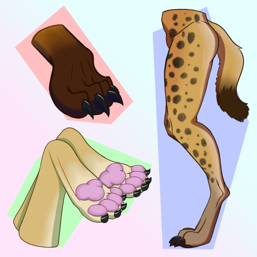 1:1 2023 absurd_res ambiguous_gender anthro brown_body brown_fur canid canine canis claws claws_out digital_media_(artwork) digitigrade disembodied_foot domestic_dog feet foot_focus fox fur group hi_res hindpaw hyena mammal pawpads paws phoxst pink_pawpads showing_paws side_view simple_background sketch sketch_page spots spotted_body spotted_fur spotted_hyena tail toe_claws torso torso_shot yellow_body yellow_fur