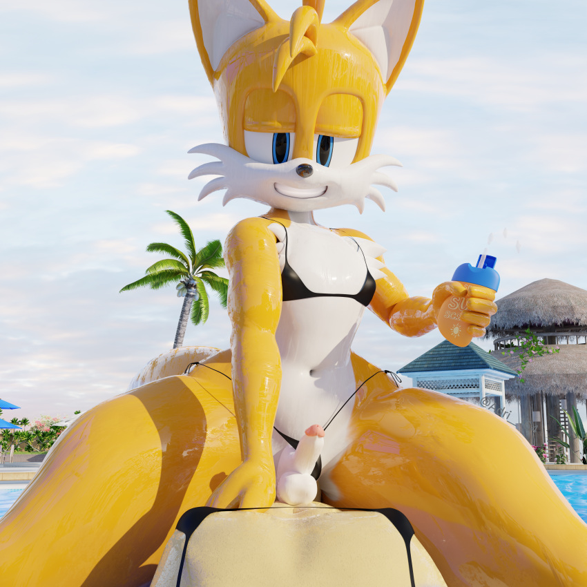 absurd_res adri164 balls bikini bikini_bottom bikini_top black_bikini black_clothing black_nose black_swimwear bodily_fluids canid canine clothing duo erection eulipotyphlan fox genitals hedgehog hi_res looking_at_viewer male mammal miles_prower navel pecs sega smile sonic_the_hedgehog sonic_the_hedgehog_(series) sunscreen sweat sweaty_balls sweaty_genitalia sweaty_legs sweaty_thighs swimwear white_balls