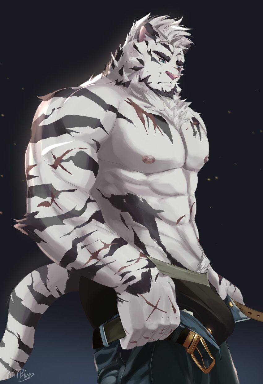 1boy abs alternate_costume animal_ears arknights ass bara black_male_underwear blue_eyes bulge denim dressing facial_hair feet_out_of_frame from_side furry furry_male goatee highres i've_never_seen_a_guy_recreate_this_successfully_tbh_(meme) jeans large_hands large_pectorals male_focus male_underwear meme mountain_(arknights) muscular muscular_male nipples open_pants pants pants_lift pectorals plilitbluu scar scar_across_eye scar_on_arm short_hair solo starry_background stomach tail thick_eyebrows tiger_boy tiger_ears tiger_tail topless_male undersized_clothes underwear white_fur white_hair